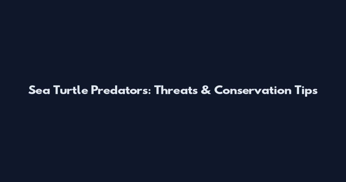 Sea Turtle Predators: Threats & Conservation Tips