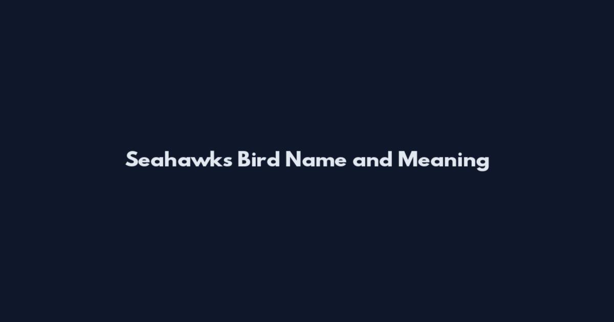 Seahawks Bird Name and Meaning