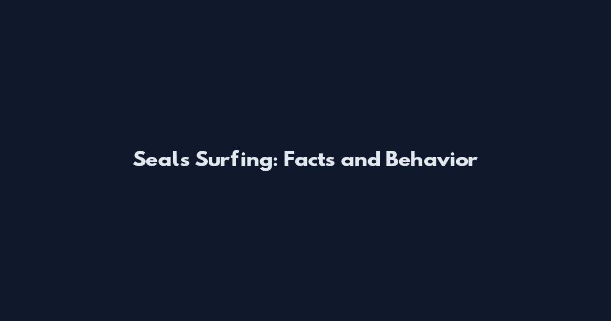 Seals Surfing: Facts and Behavior