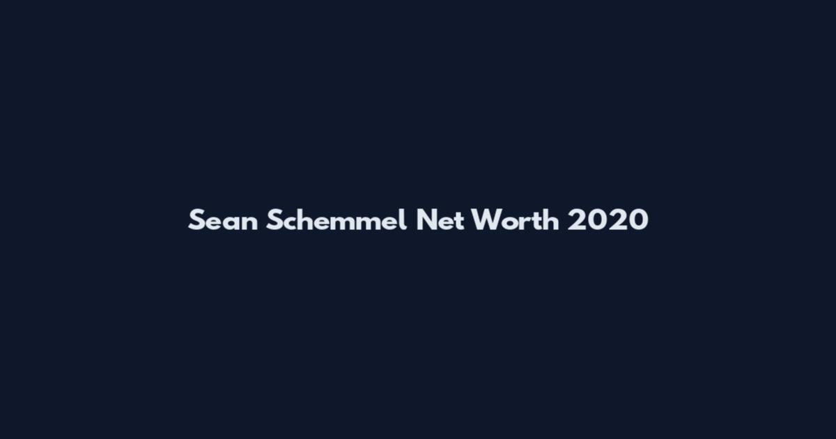 Sean Schemmel Net Worth 2020