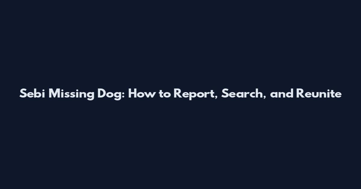 Sebi Missing Dog: How to Report, Search, and Reunite