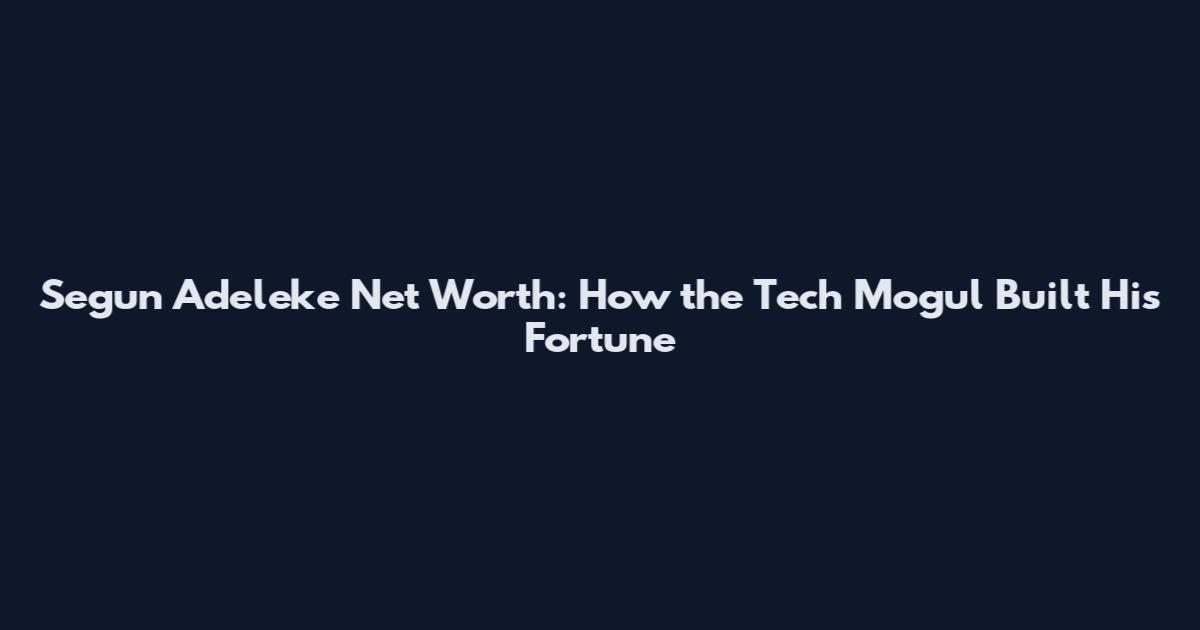 Segun Adeleke Net Worth: How the Tech Mogul Built His Fortune