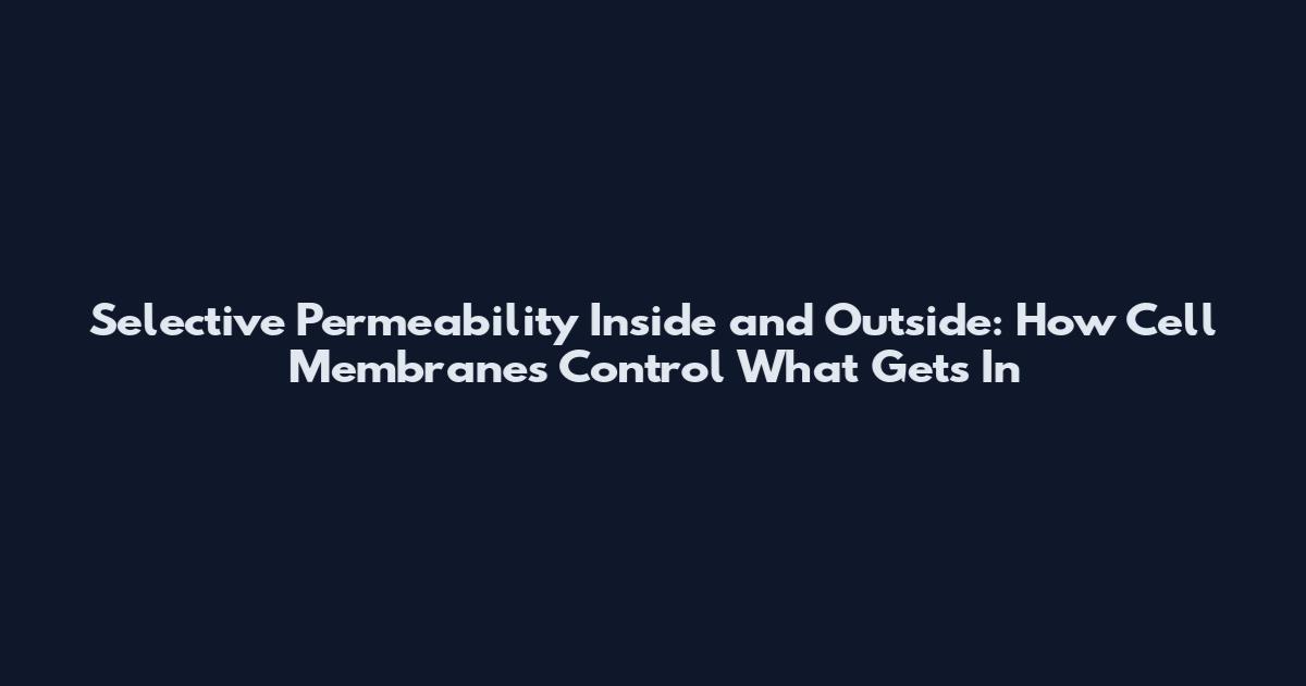 Selective Permeability Inside and Outside: How Cell Membranes Control What Gets In