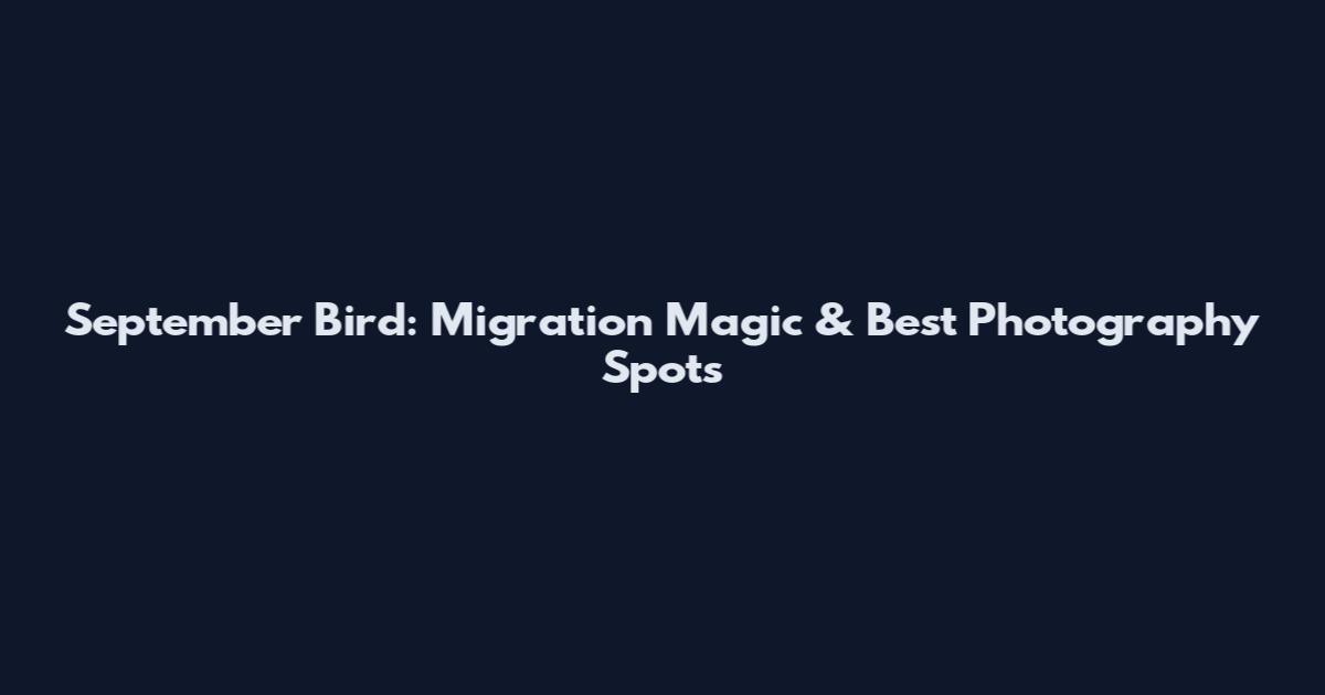 September Bird: Migration Magic & Best Photography Spots
