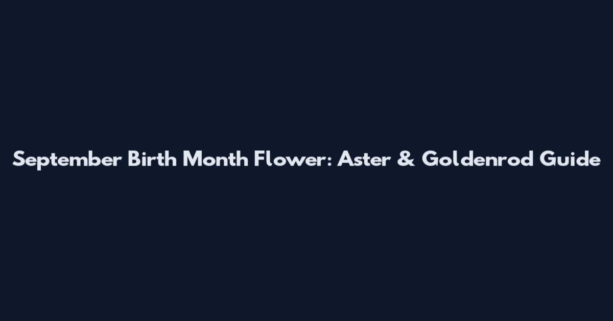 September Birth Month Flower: Aster & Goldenrod Guide