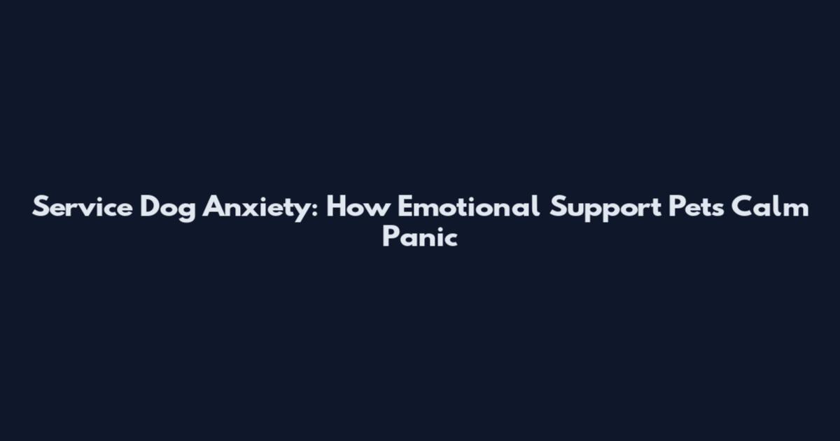 Service Dog Anxiety: How Emotional Support Pets Calm Panic