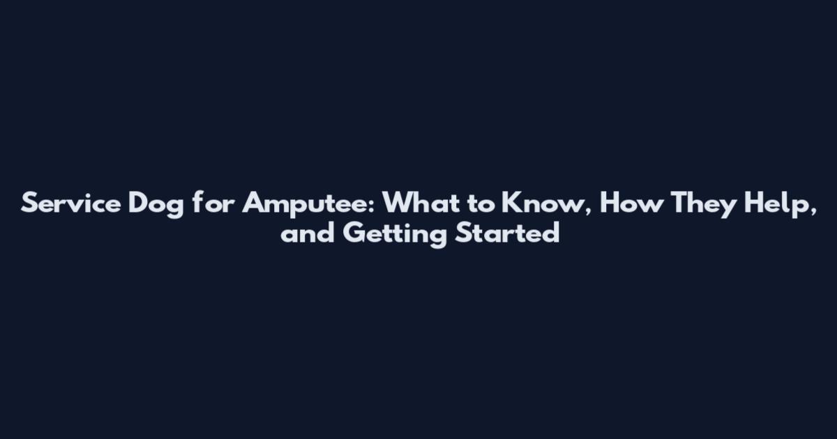 Service Dog for Amputee: What to Know, How They Help, and Getting Started