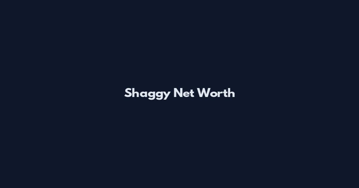 Shaggy Net Worth