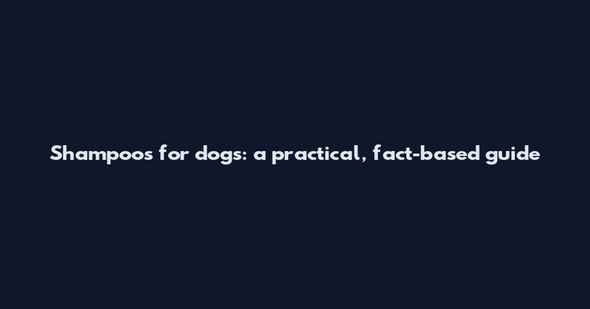 Shampoos for dogs: a practical, fact-based guide