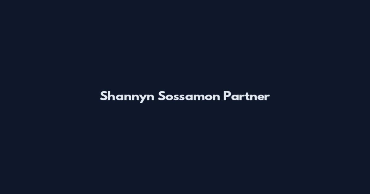 Shannyn Sossamon Partner