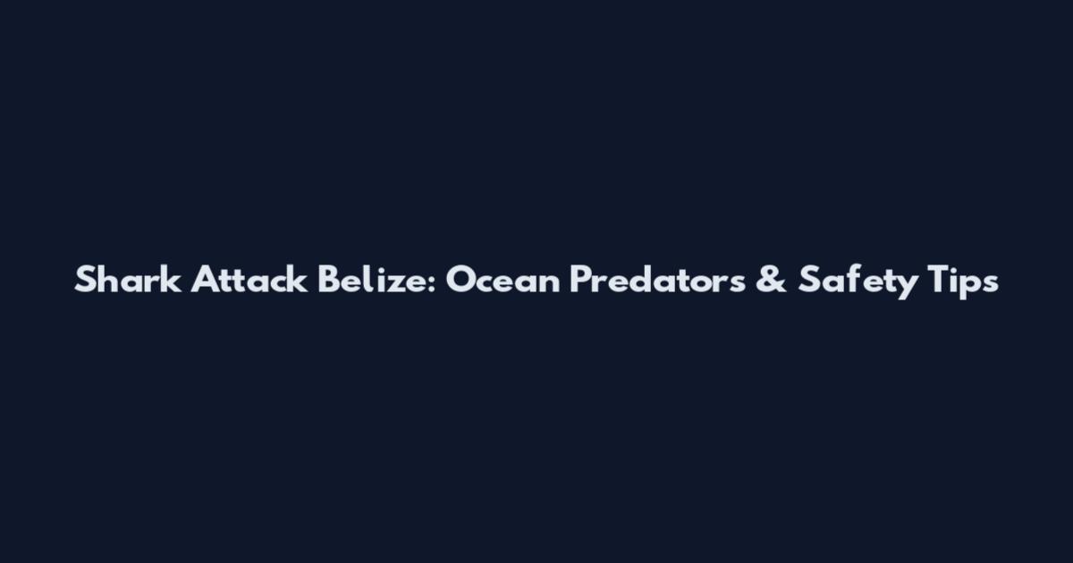Shark Attack Belize: Ocean Predators & Safety Tips