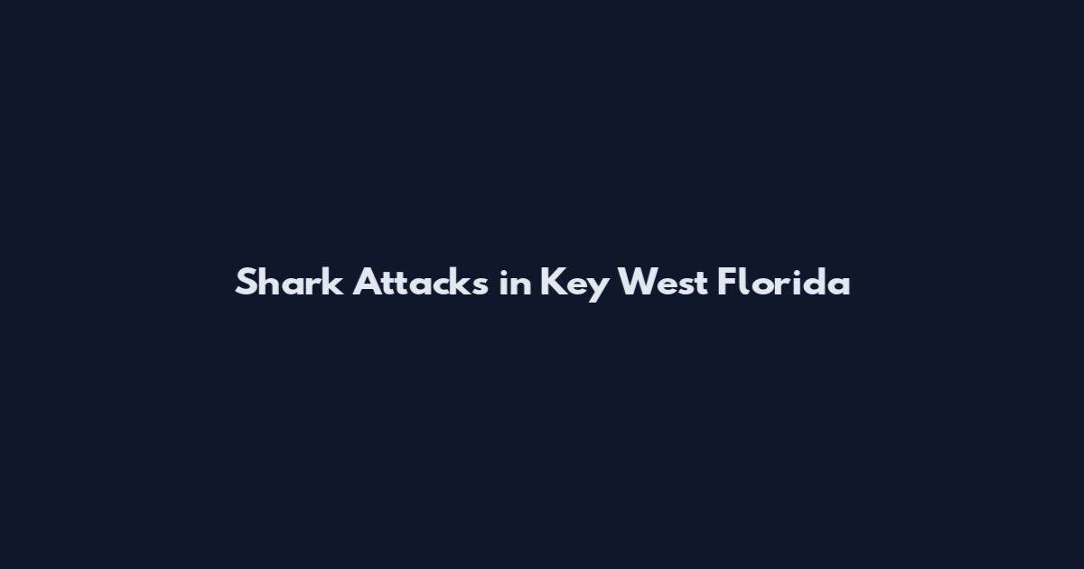 Shark Attacks in Key West Florida