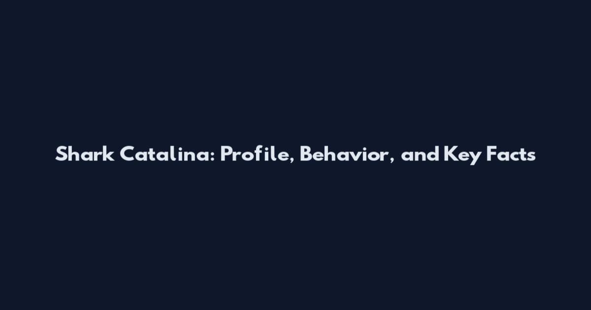 Shark Catalina: Profile, Behavior, and Key Facts