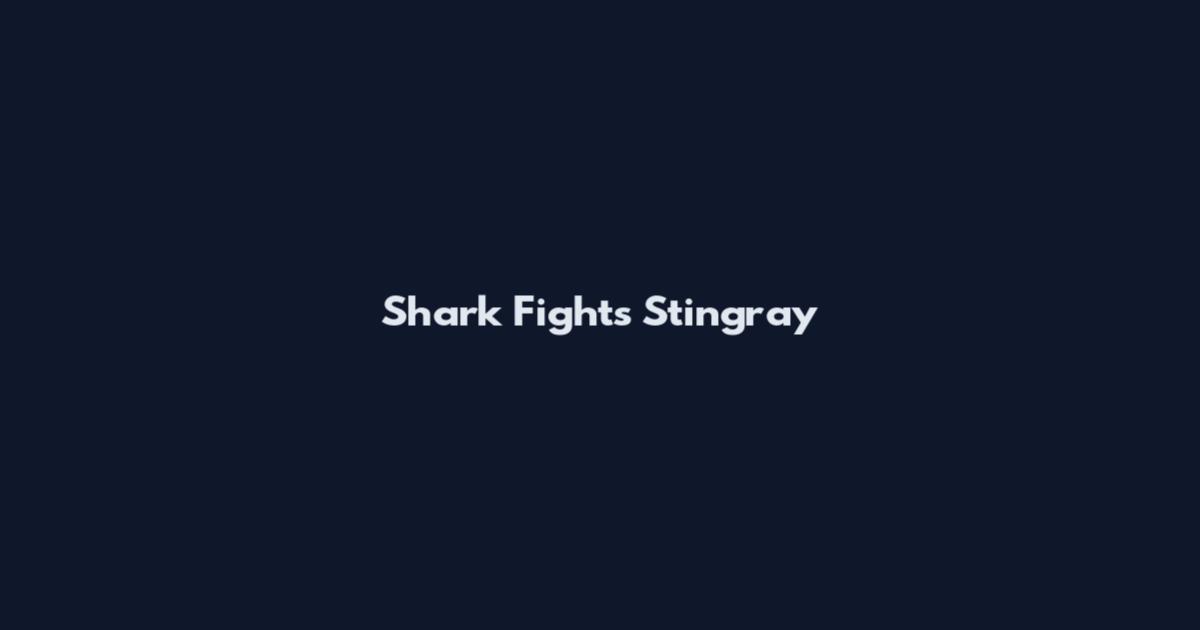Shark Fights Stingray