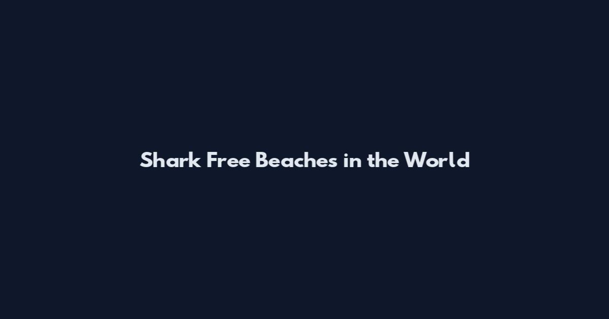 Shark Free Beaches in the World