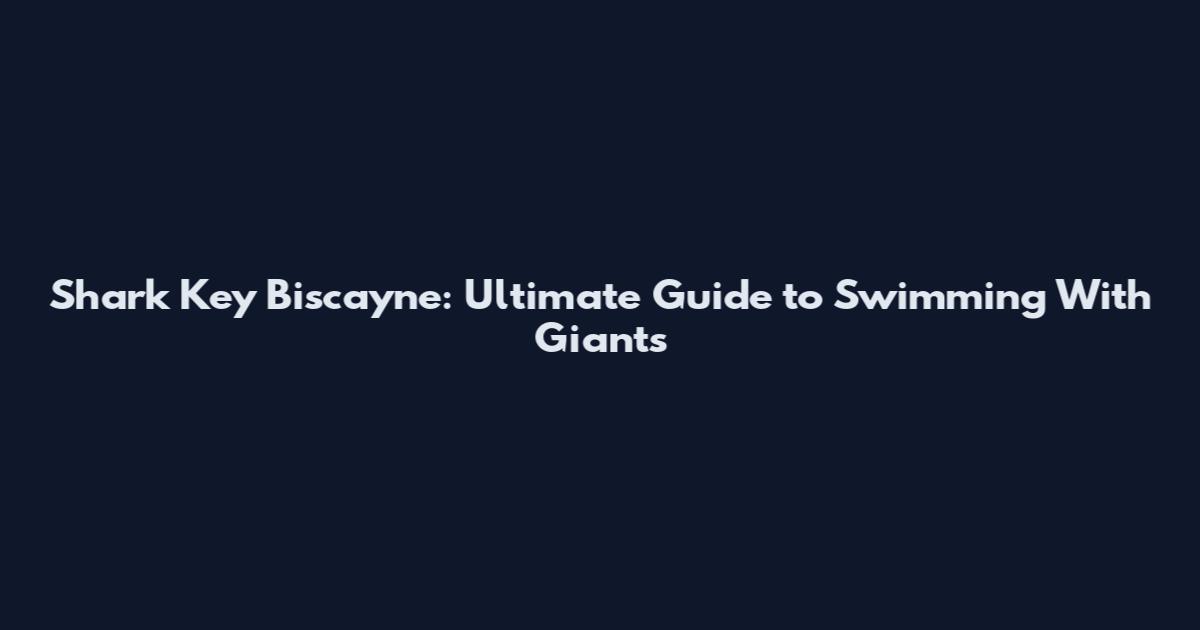 Shark Key Biscayne: Ultimate Guide to Swimming With Giants