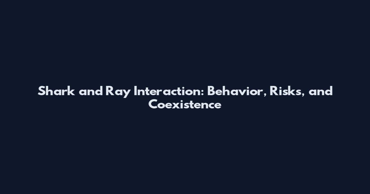 Shark and Ray Interaction: Behavior, Risks, and Coexistence
