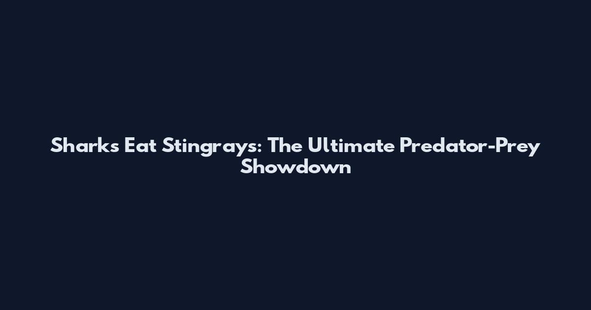 Sharks Eat Stingrays: The Ultimate Predator-Prey Showdown