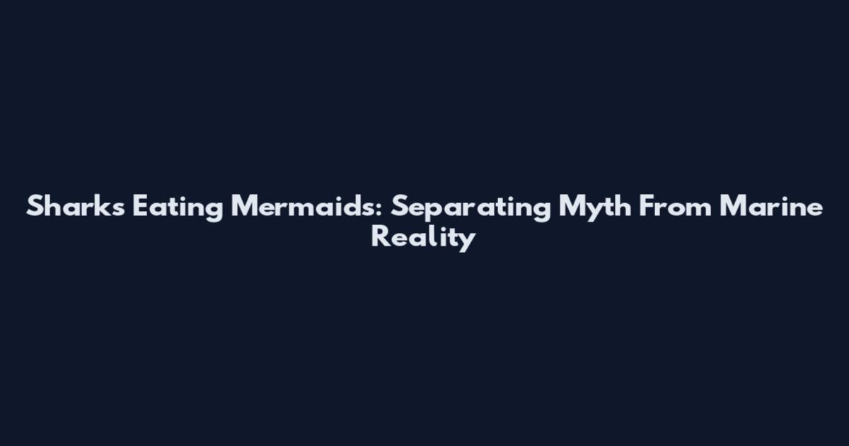 Sharks Eating Mermaids: Separating Myth From Marine Reality