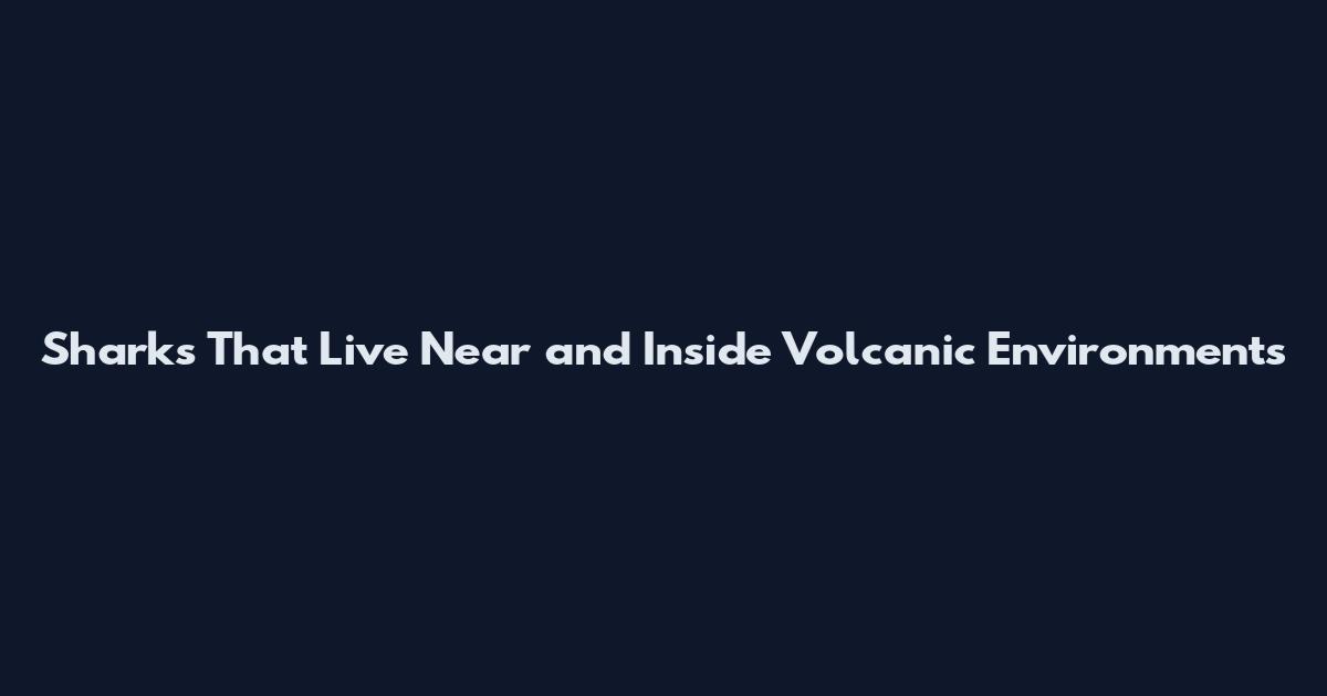 Sharks That Live Near and Inside Volcanic Environments