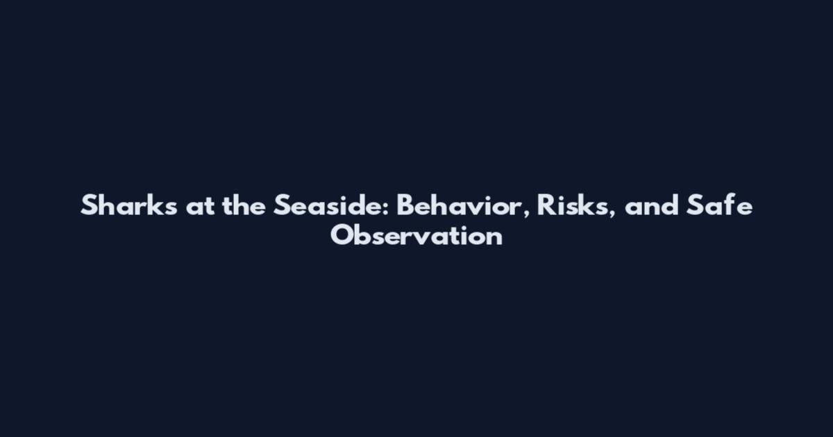 Sharks at the Seaside: Behavior, Risks, and Safe Observation