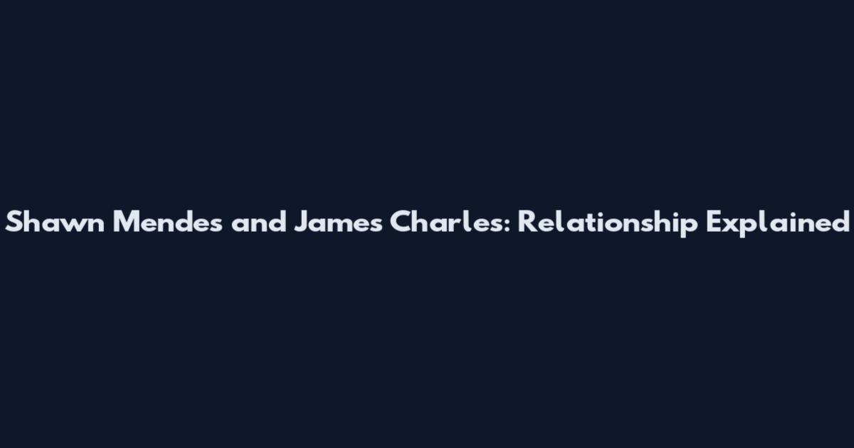 Shawn Mendes and James Charles: Relationship Explained