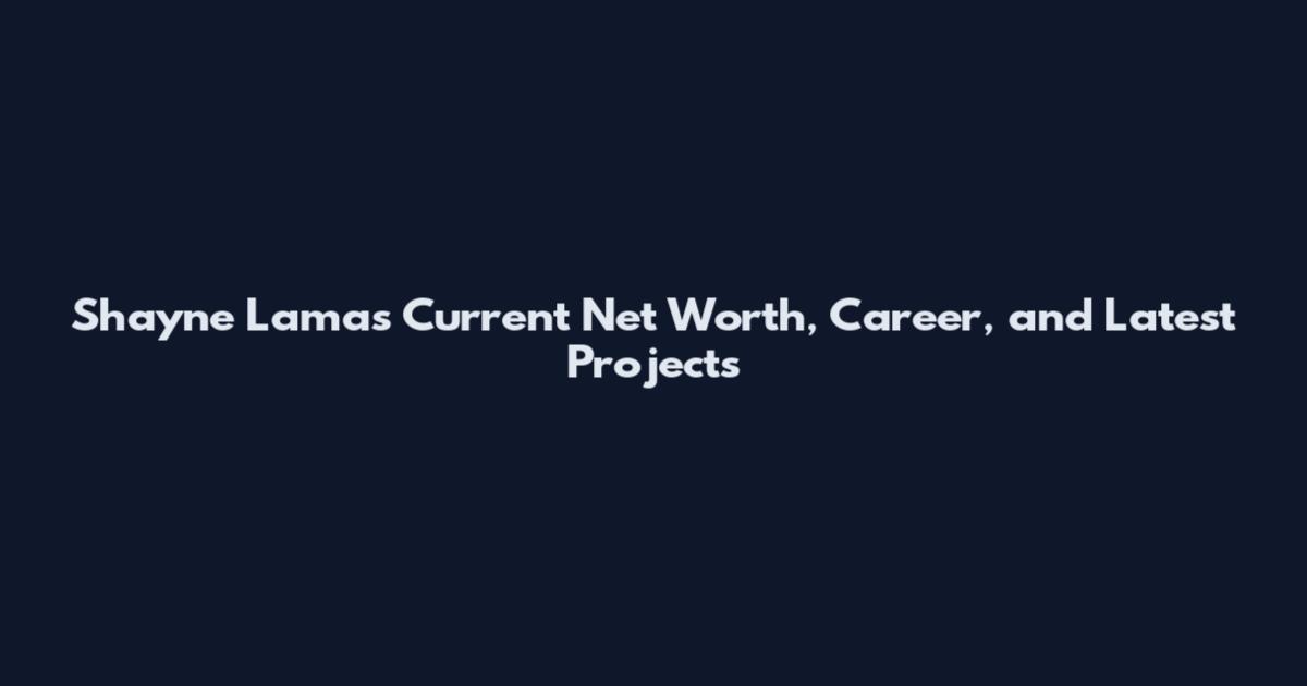 Shayne Lamas Current Net Worth, Career, and Latest Projects