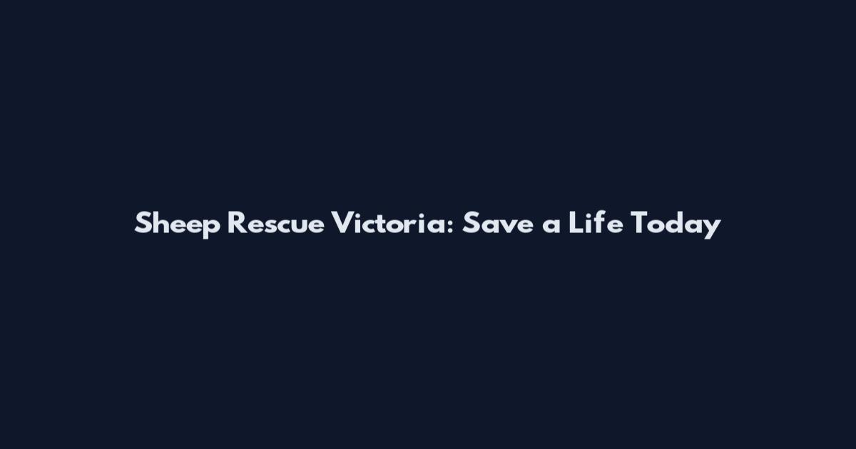 Sheep Rescue Victoria: Save a Life Today