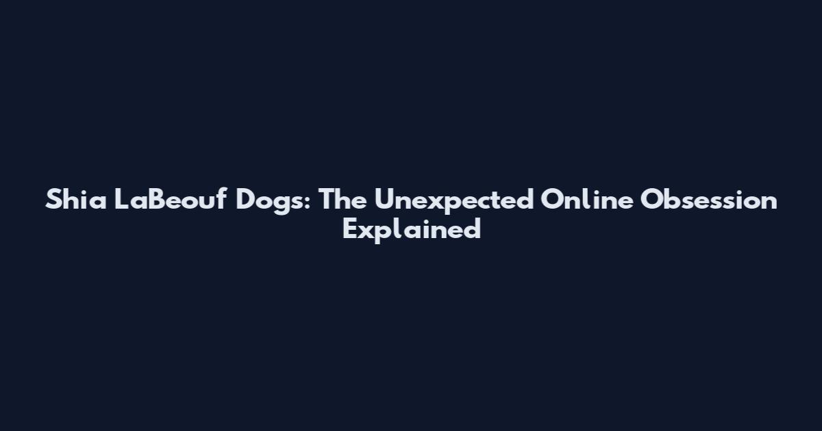 Shia LaBeouf Dogs: The Unexpected Online Obsession Explained