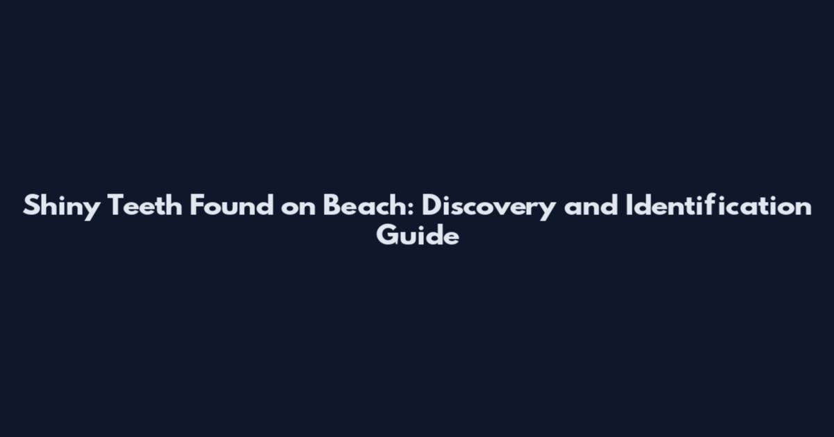 Shiny Teeth Found on Beach: Discovery and Identification Guide
