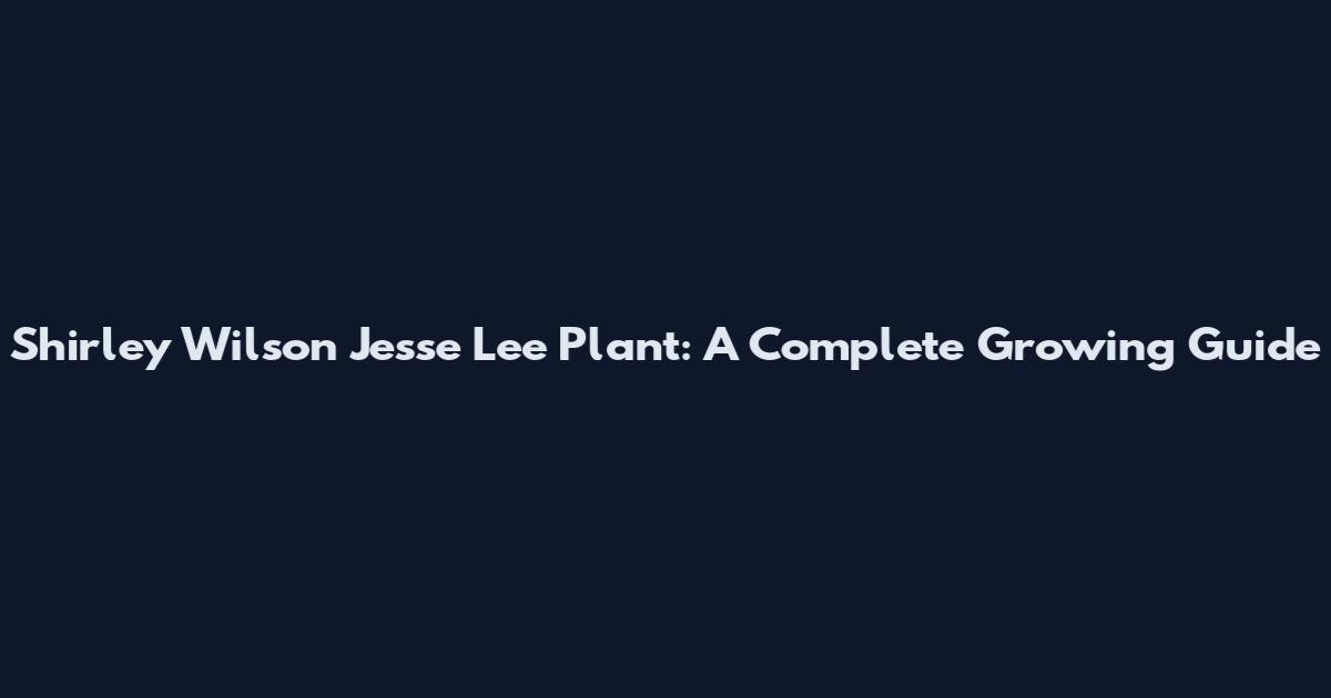 Shirley Wilson Jesse Lee Plant: A Complete Growing Guide