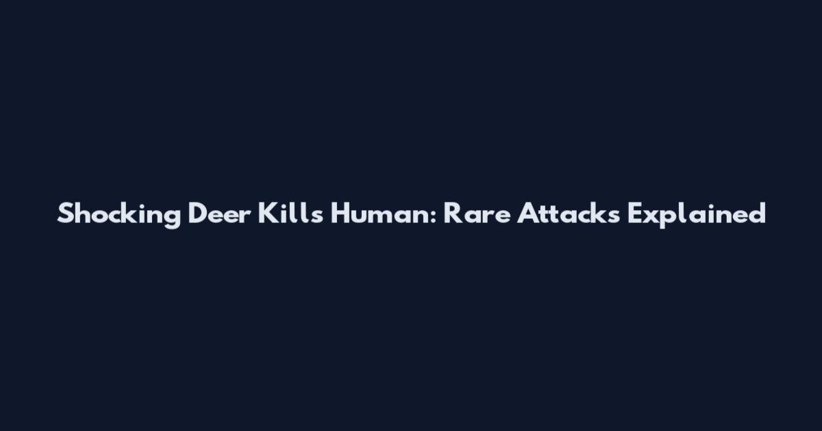 Shocking Deer Kills Human: Rare Attacks Explained