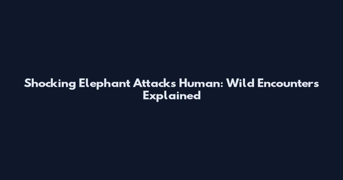 Shocking Elephant Attacks Human: Wild Encounters Explained