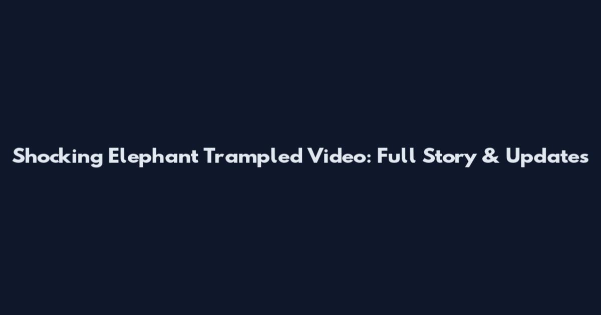 Shocking Elephant Trampled Video: Full Story & Updates