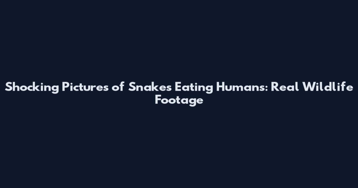 Shocking Pictures of Snakes Eating Humans: Real Wildlife Footage