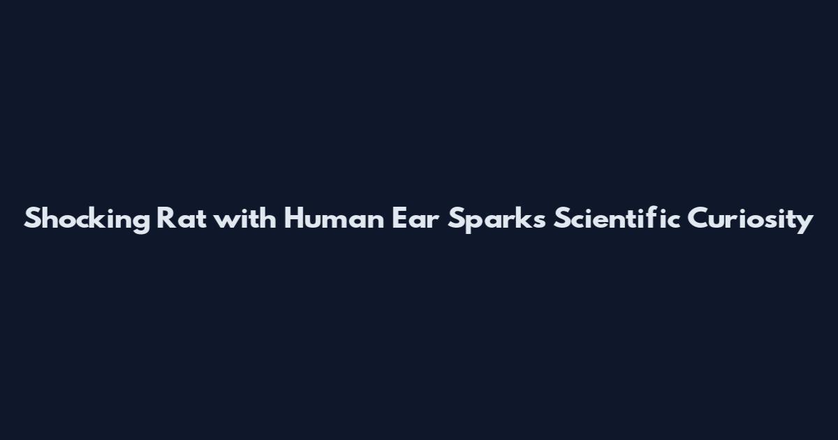 Shocking Rat with Human Ear Sparks Scientific Curiosity