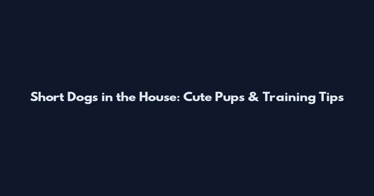 Short Dogs in the House: Cute Pups & Training Tips