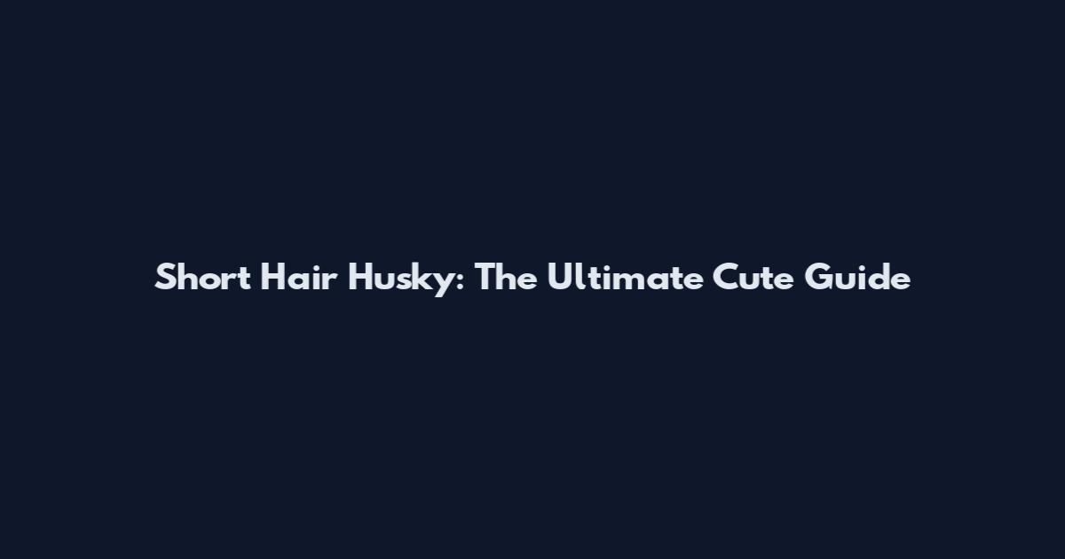 Short Hair Husky: The Ultimate Cute Guide