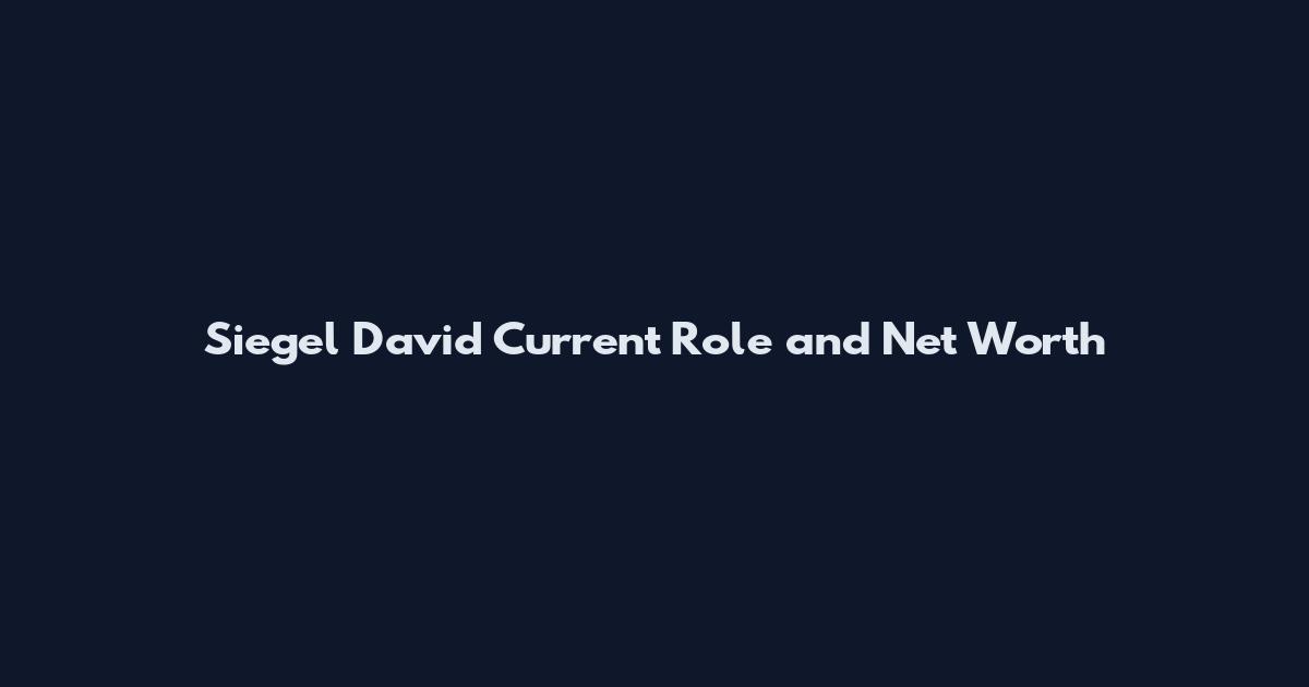 Siegel David Current Role and Net Worth
