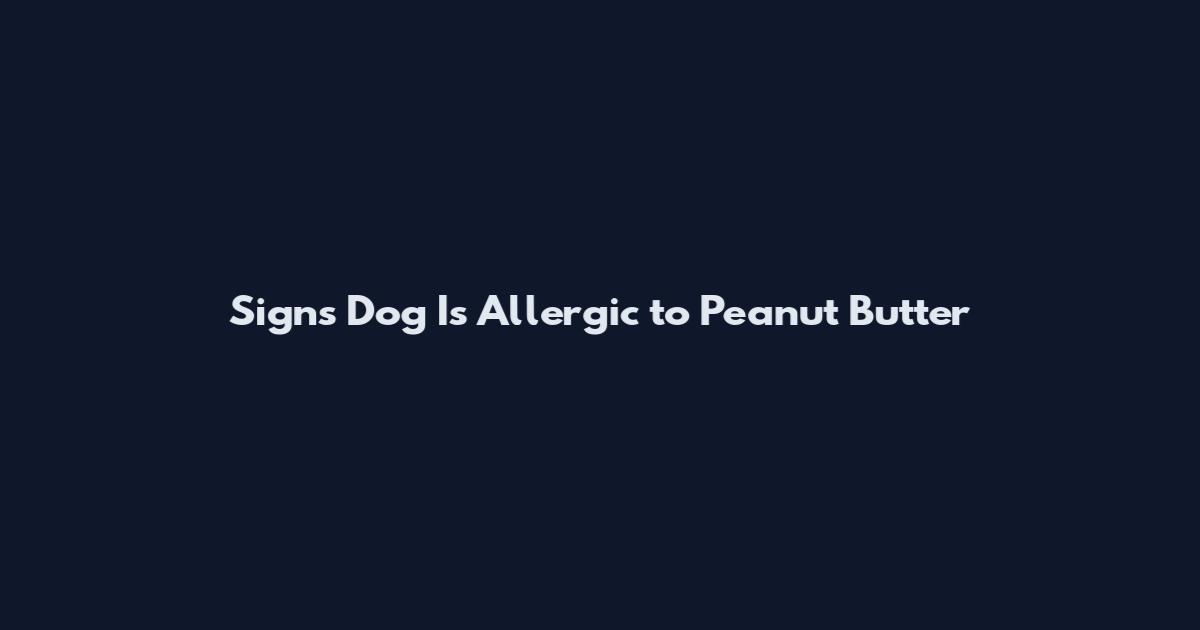 Signs Dog Is Allergic to Peanut Butter
