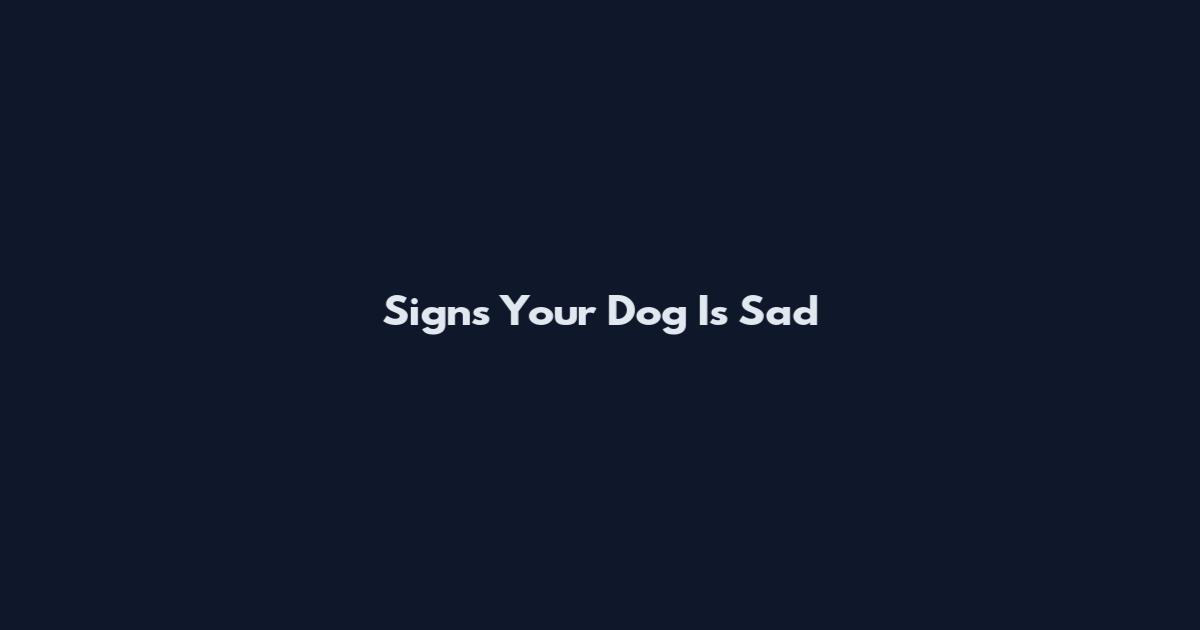 Signs Your Dog Is Sad