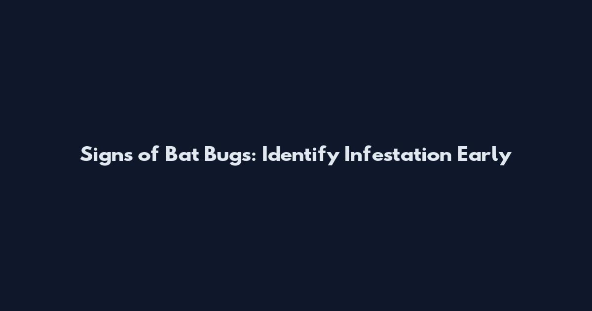 Signs of Bat Bugs: Identify Infestation Early