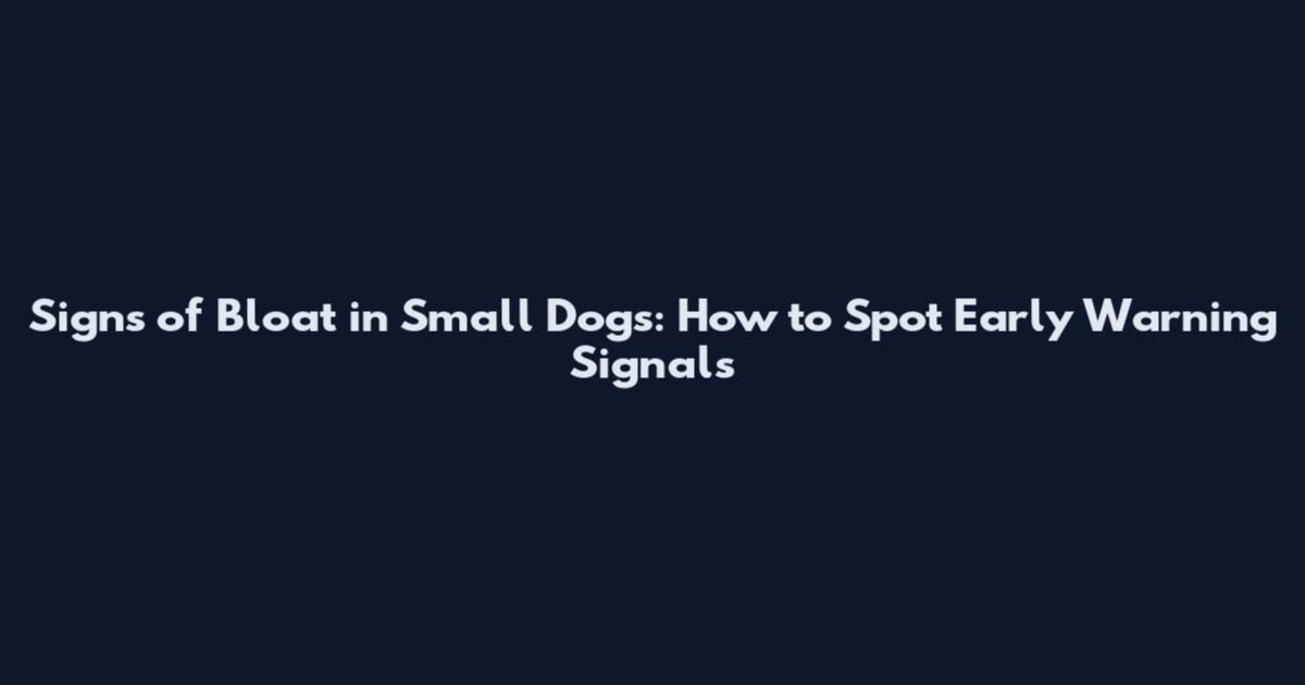 Signs of Bloat in Small Dogs: How to Spot Early Warning Signals