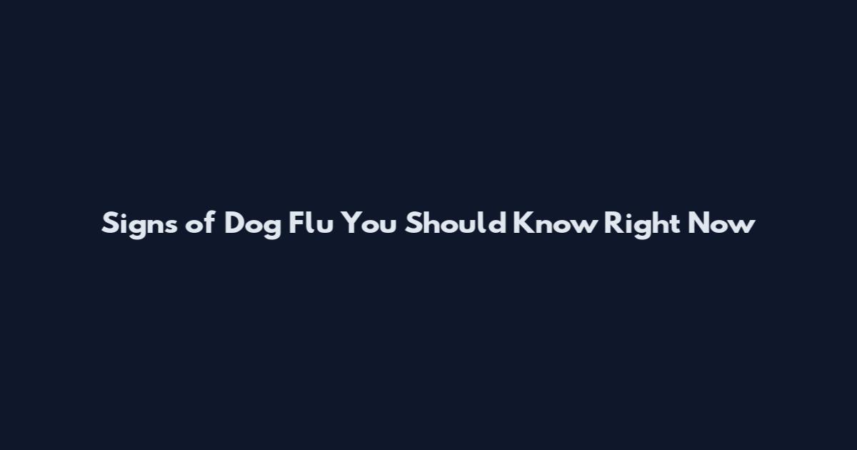 Signs of Dog Flu You Should Know Right Now