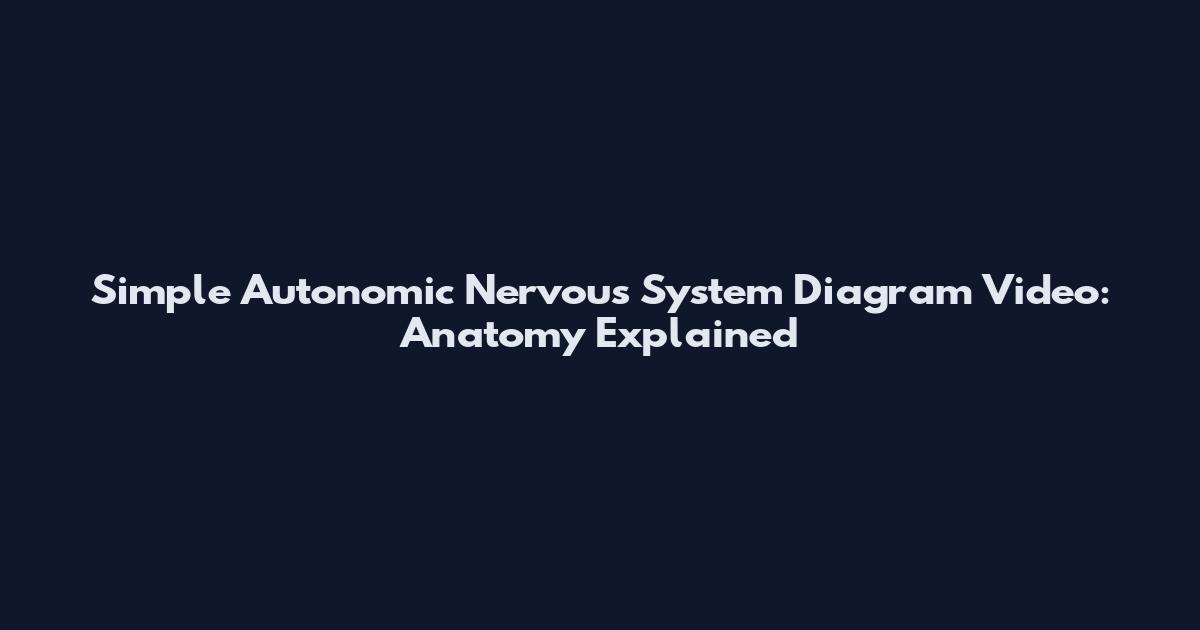Simple Autonomic Nervous System Diagram Video: Anatomy Explained