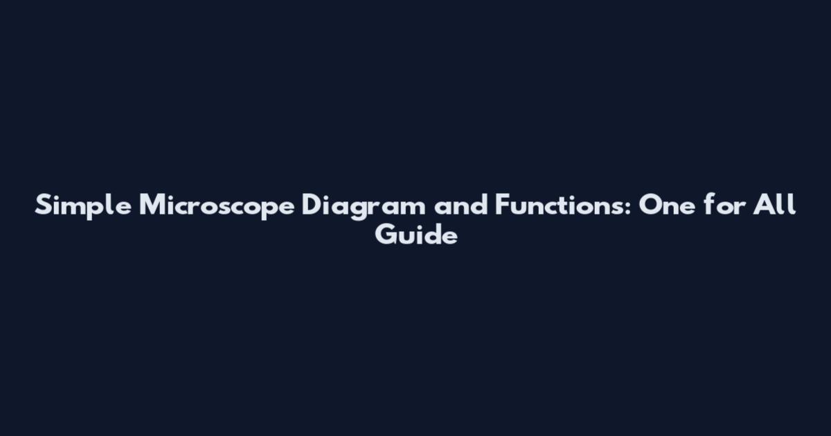 Simple Microscope Diagram and Functions: One for All Guide
