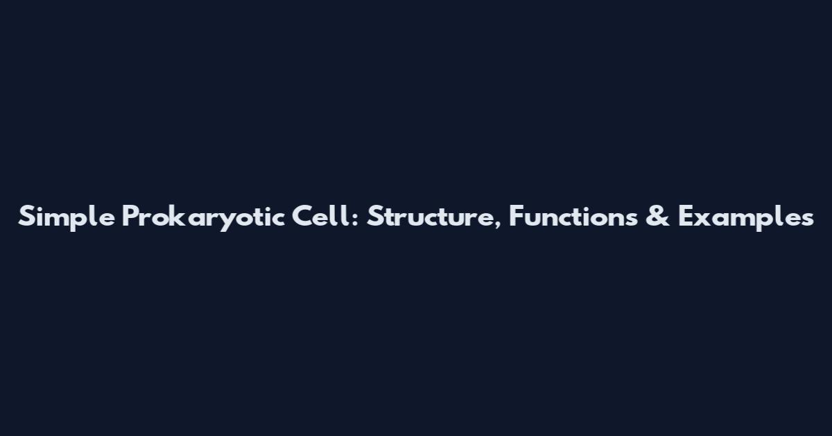 Simple Prokaryotic Cell: Structure, Functions & Examples