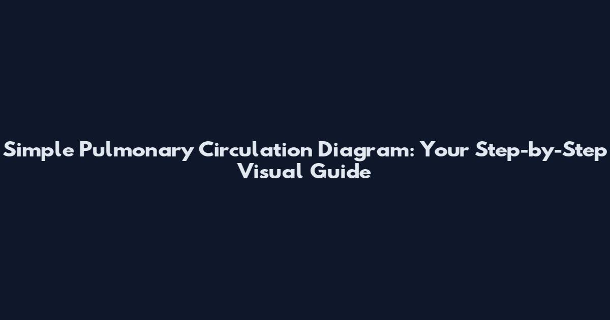 Simple Pulmonary Circulation Diagram: Your Step-by-Step Visual Guide