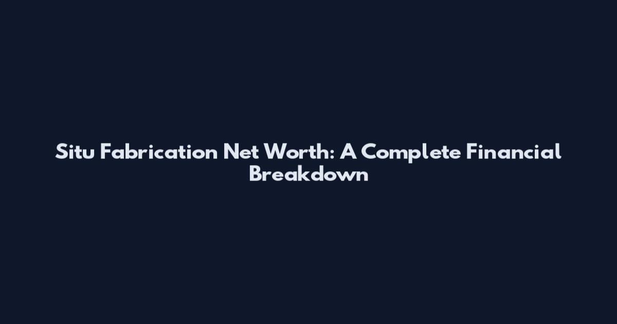 Situ Fabrication Net Worth: A Complete Financial Breakdown