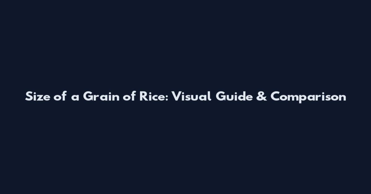 Size of a Grain of Rice: Visual Guide & Comparison